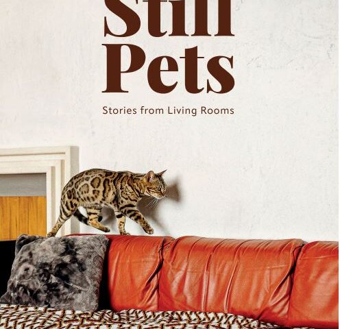 "Still Pets", Maria Stella, Antiga Edizioni